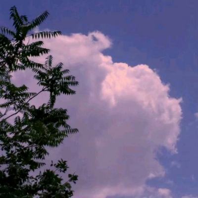 蜀山纪手游官方正版下载